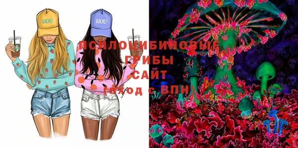 MDMA Богородицк