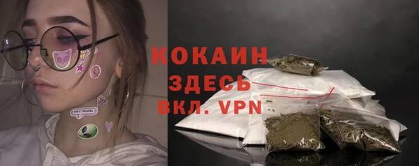 PSILOCYBIN Белокуриха