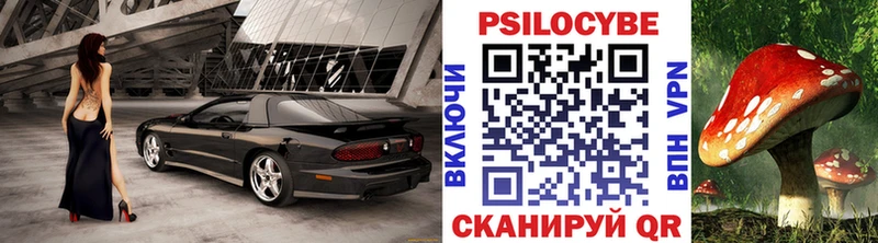 Галлюциногенные грибы Psilocybe  Севастополь 